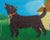 Barbara Chipman Moment -Dog Howling to the Moon -Naive Oil Painting For Sale - Image 4 of 10