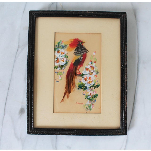Mid 20th Century Vintage Mexican Feather Art Bird Wall Hangings For Sale - Image 5 of 12