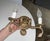 Brass Pair Neoclassic Dolphin Shell Brass Wall Sconces For Sale - Image 8 of 14