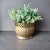Vintage Brass Round Swirl Design Planter Plant Pot Cachepot For Sale In Philadelphia - Image 6 of 6