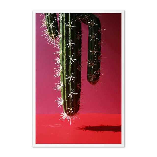 Contemporary Rebel by Kara Buse Contemporary Photograph in White Frame, Large For Sale - Image 3 of 3