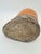 Antique Ceramic Bird Feeder, Central Europe, 1900s For Sale - Image 10 of 11