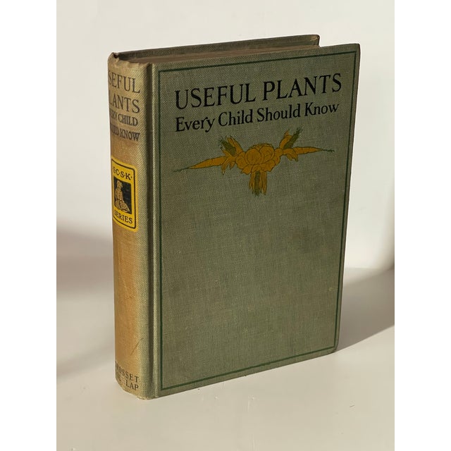 An interesting botanical book from the turn of the 20th century that was designed to teach children about plants....