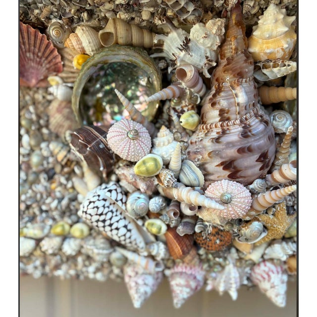 Seashell Encrusted Fireplace Surround and Mantel For Sale - Image 14 of 18