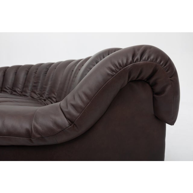 De Sede Ds-600 Non-Stop Sofa in Deep Espresso Brown Leather, 1980s For Sale - Image 17 of 18