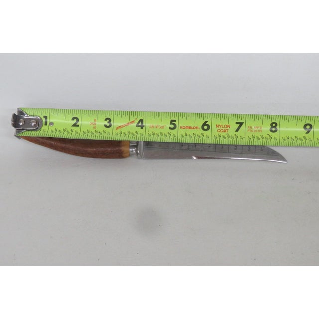 Metal Mid 20th Century Mid Century Modern Lewis Rose Co Sheffield England Stainless Steel Steak Knife Stag Handle For Sale - Image 7 of 10