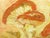 Wood Vintage English Oil on Board Painting of Mushrooms For Sale - Image 7 of 14
