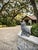 Vintage Cast Iron Owl Garden Sculpture on Natural Branch Base For Sale - Image 9 of 11