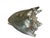 Vintage Silver Seashell Conch Shell Table Decor Beach House Summer Decor For Sale In Miami - Image 6 of 8