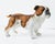 Mid-Century Modern Vintage Bull Dog Hand-Painted Figurine For Sale - Image 3 of 8