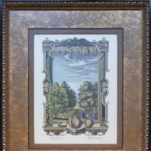 Large vintage John-Richard framed botanical and natural history print titled “Hortus Nucum,” or “Garden of Nuts.” The...