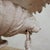 19th Century Cast Iron Basin with Lion Head Handles For Sale - Image 11 of 16