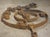 Set of Antique French Wrought Iron Scrolling Elements, Early 1800s For Sale - Image 10 of 18