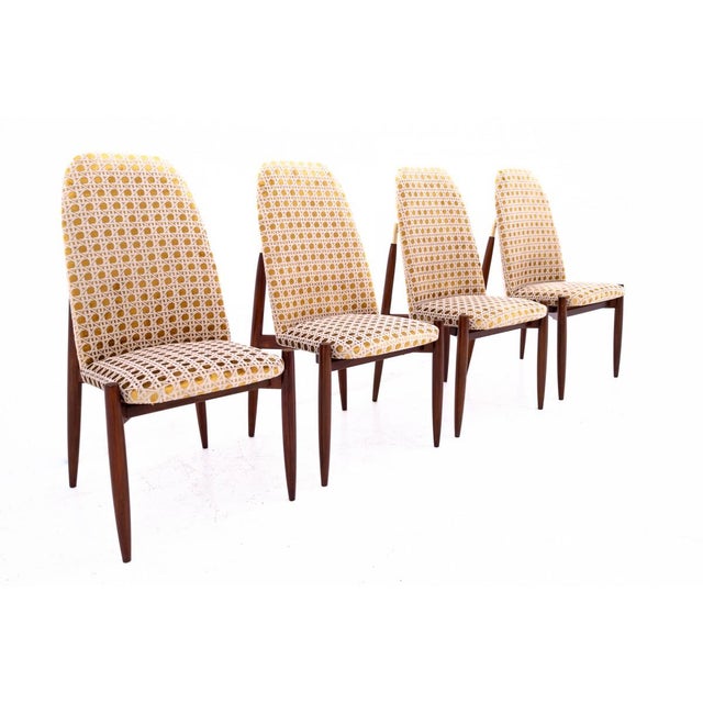 Czechoslovakian Chairs, 1950s, Set of 4 For Sale - Image 3 of 11