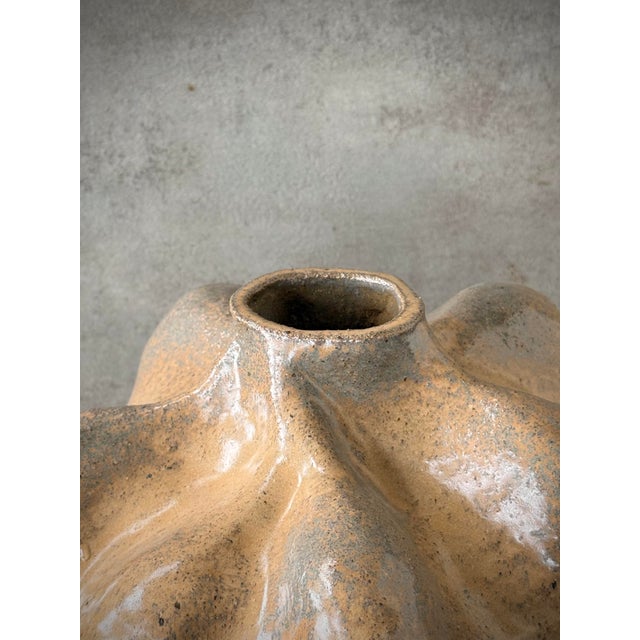 Contemporary Bulbo Jaspe Organic Sculptural Vase in Handmade Ceramic by Pellizco Cerámica For Sale - Image 3 of 9