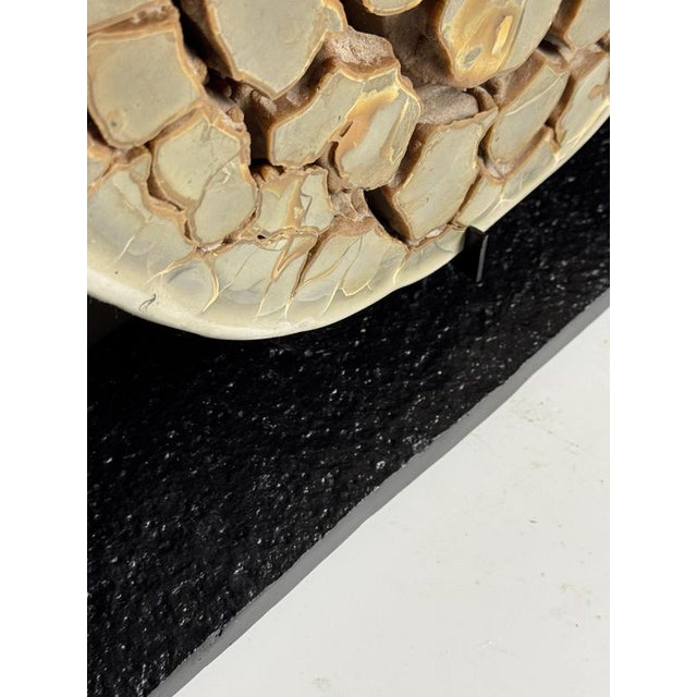 Septaria Nodule on Custom Stand For Sale - Image 10 of 15