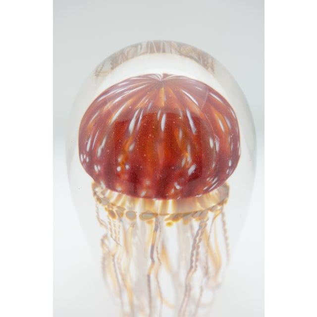 Golden Barberry Glass Jellyfish Sculpture For Sale - Image 4 of 7