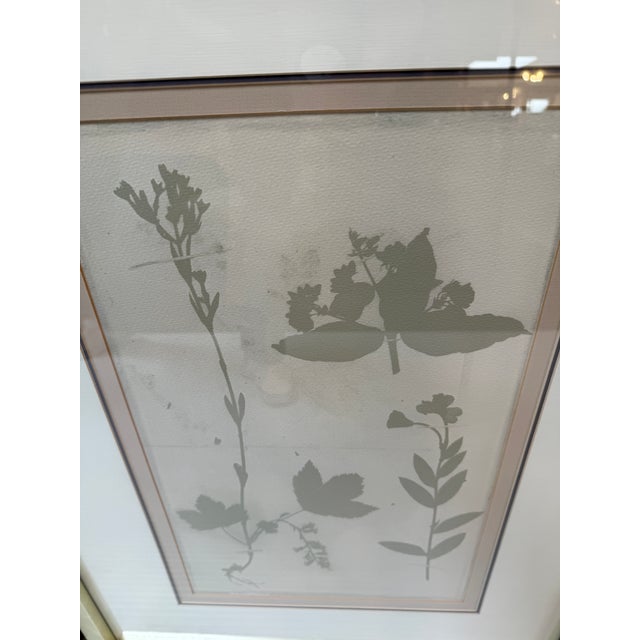 Silver Soicher Marin "Ghost Herberia in Celedon", Complete Series For Sale - Image 8 of 12