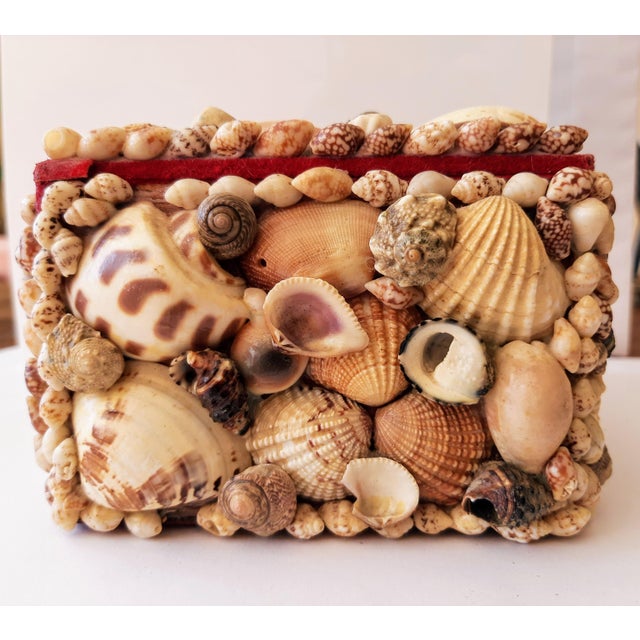 Vintage Coastal Encrusted Shell Box For Sale In Fayetteville, AR - Image 6 of 12