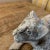 Raku Pottery Cat Sculpture- Signed For Sale In New York - Image 6 of 9