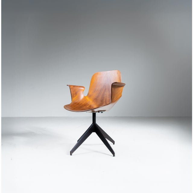 1950s Medea Chair by Vittorio Nobili for Fratelli Tagliabue, 1955 For Sale - Image 5 of 7