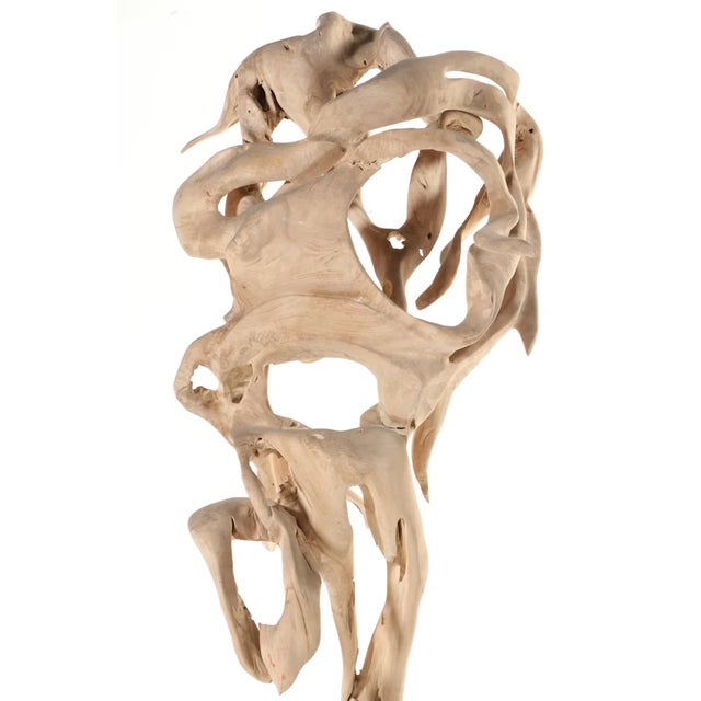 Monumental Teak Root Sculpture 7' Tall For Sale - Image 12 of 18