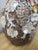 Almond Early 20th Century Shell-Encrusted Pitcher With Grapevine Design For Sale - Image 8 of 12