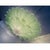 Venetian Leaves Flush Mount in Green Murano Glass by Simoeng For Sale - Image 4 of 6