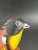 Folk Art Wood Oriole Bird on Stand For Sale - Image 9 of 11