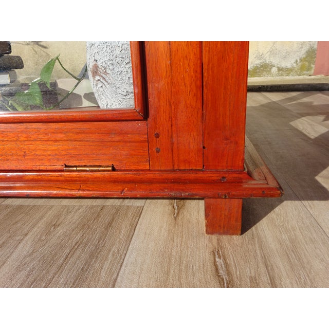 Display Cabinet with Exotic Wood Structure For Sale - Image 13 of 17