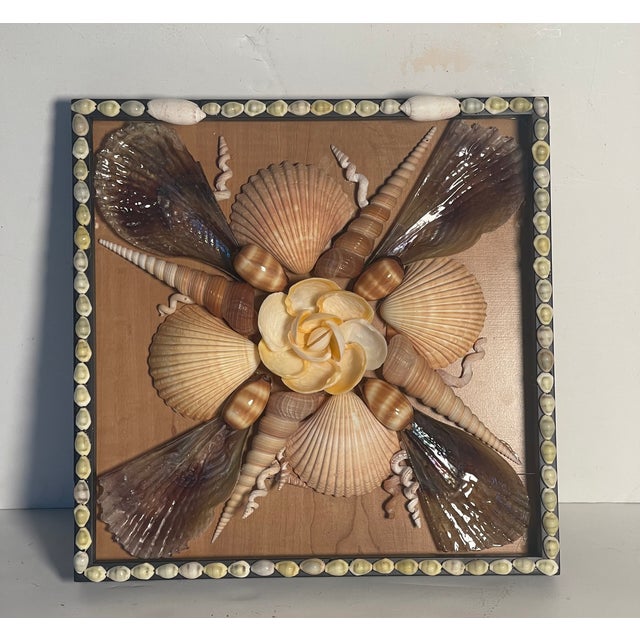 Unique impressive Sea Shell arrangement in an open box frame. Designed by Elia.