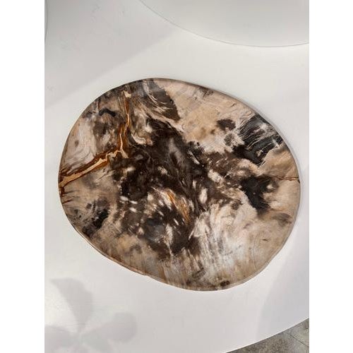 Very Large Vide-Poche or Dish in Petrified Wood For Sale - Image 9 of 18