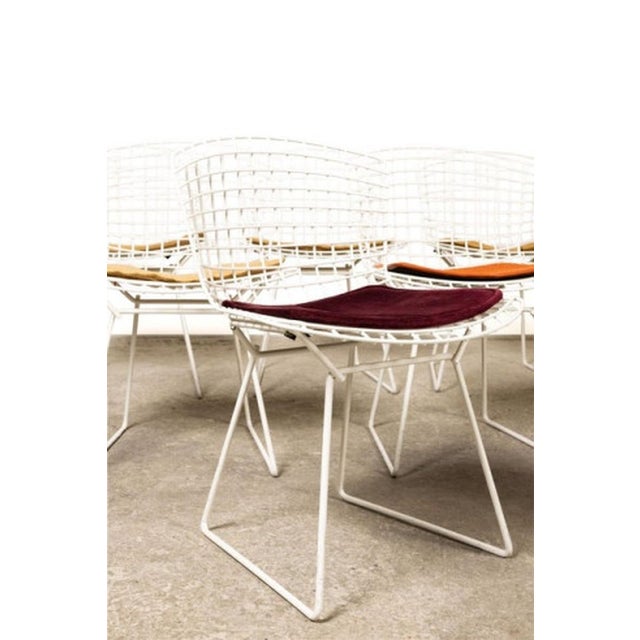 Harry Bertoia (1915-1978) for Knoll International, manufacturer Set of four "Diamond" model chairs, white lacquered, bent...