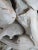 Contemporary Organic Modern Teak Root Sculpture 2 For Sale - Image 9 of 10