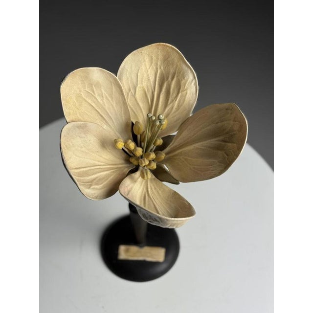 German Botanical Floral Model, 1900 For Sale - Image 13 of 18