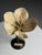 German Botanical Floral Model, 1900 For Sale - Image 13 of 18