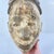 The Kongo people migrated into their current location during the 13th century from the northeast under the leadership of...