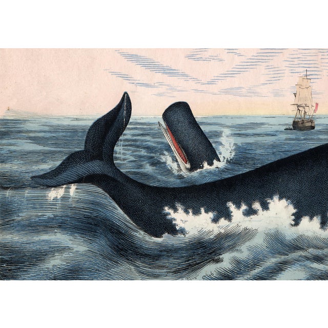 2020s Contemporary Reproduction Prints After Illustrations From the 1850's, Pair of 2 For Sale - Image 5 of 7