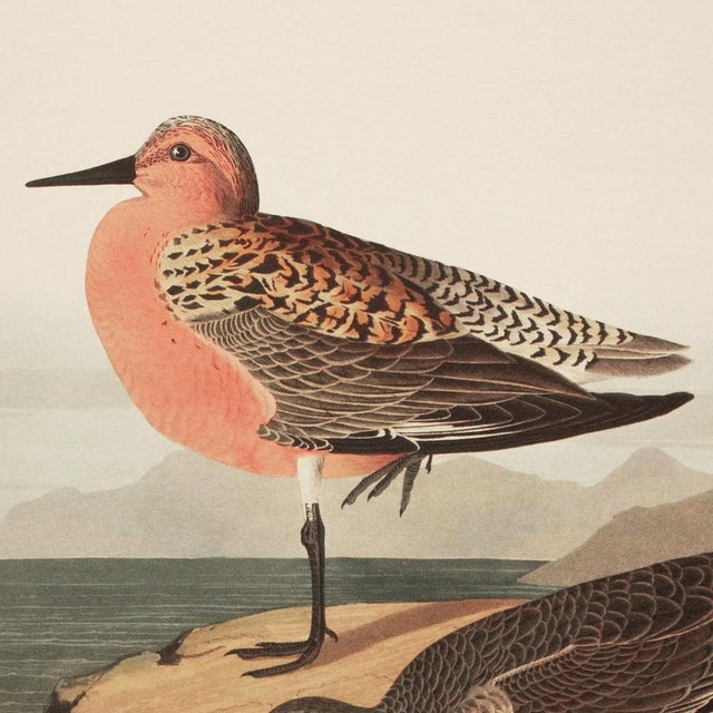 A stunning large vintage Cottage, American Classical or Nautical Style reproduction of the original Vintage lithographic...