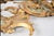 Pair 18th Century Italian Giltwood Sconces For Sale - Image 10 of 11