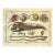 Lobster, Seahorse & Crab Original Engraving Le Spectacle De La Nature, Paris, 1741 For Sale