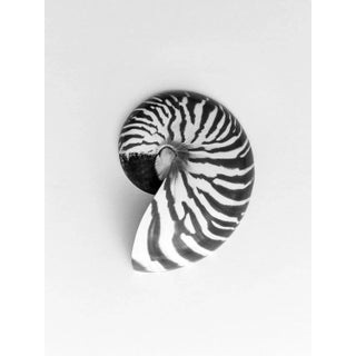 Core Energy by Calethia DeConto, Unframed Art Print, 30x45 For Sale