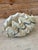 Vintage Coastal Clam Shell Cast Resin Decorative Bowl For Sale - Image 4 of 10