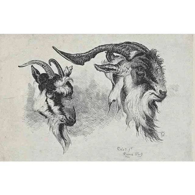 Antelope in the Roman Countryside is an original etching artwork realized after Charles Coleman (1807, Yorkshire - 1874,...