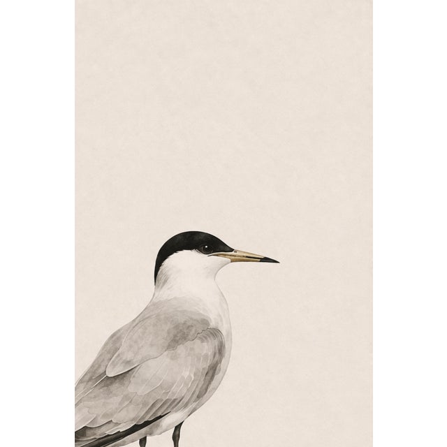Paper Coastal Tern Study, Minimalist Nautical Art Print, 24″ × 36″ Reproduction For Sale - Image 7 of 10