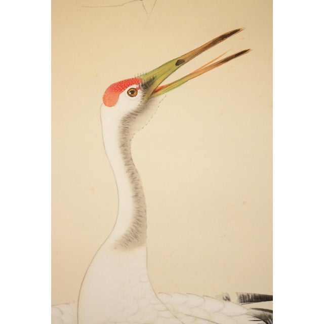 Taisho to Showa Era Japanese Silk Scroll Painting "Two Cranes and a Pine Tree" For Sale - Image 12 of 18