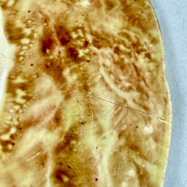 English Majolica Rustic Leaves on Bark Plates, Set of Two For Sale - Image 12 of 16