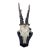 Vintage 1973 German Roe Deer Antler Mount With Matching Jawbone For Sale