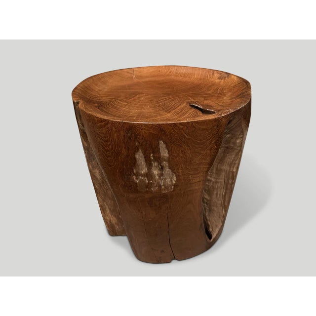 Andrianna Shamaris Sculptural Teak Wood Tray Side Table For Sale - Image 4 of 5