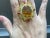 Bochic "Orient" Vintage Citrine, Peridot & Diamond Ring Set In 18K Gold & Silver For Sale - Image 17 of 18